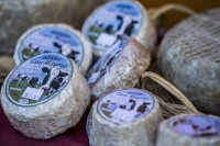 HOSPEDAJE CASA MILAGROS