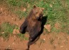 OSO