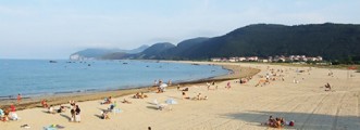 Playa Tregandn