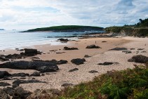 Playa Los Tranquilos-Boo