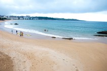 Playa La Concha